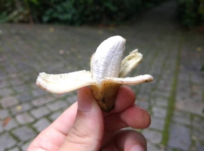„Találtam egy nagyon apró banánt."