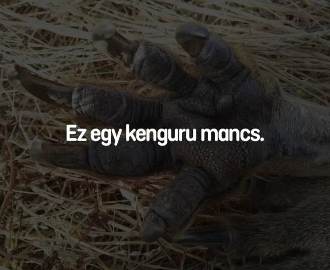 13 fényképrejtvény, amiken nem mindenki találja meg a választ