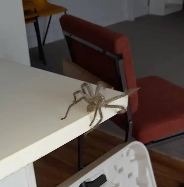 Ausztrália ijesztő fotók 013