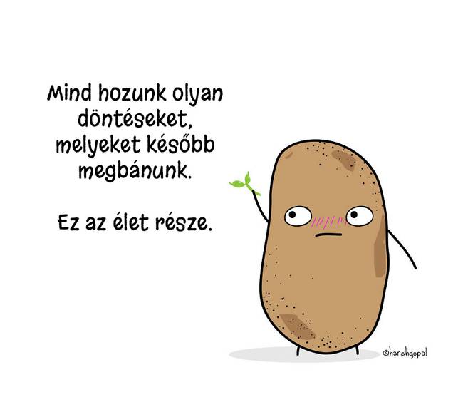 15 életre szóló igazság, egy aranyos és bölcs krumplitól