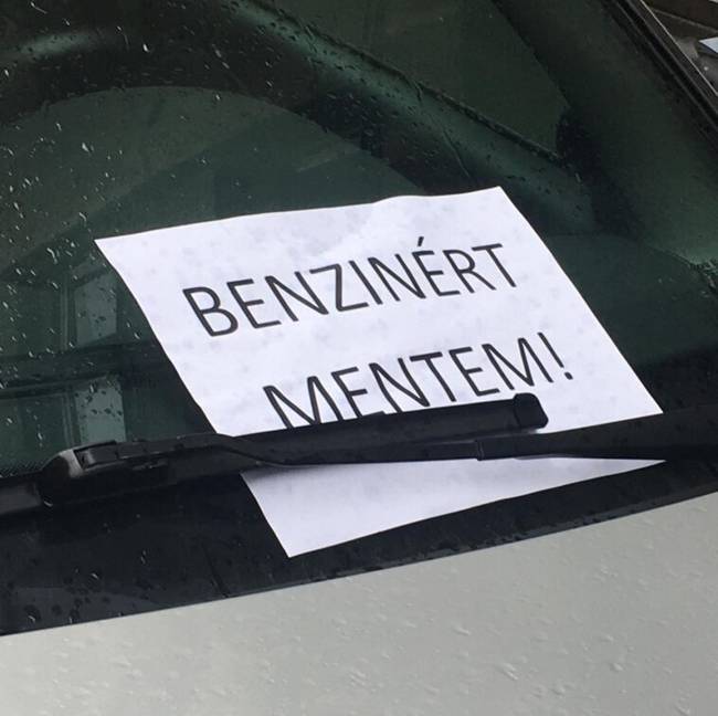 Ravasz. Nagyon ravasz!