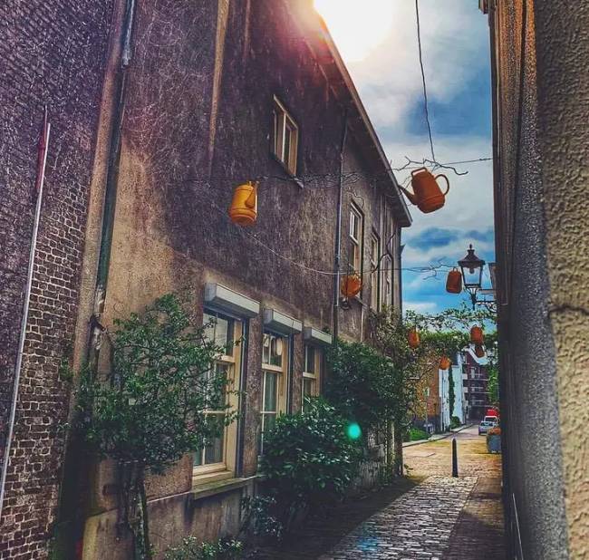 Holland utcadekoráció