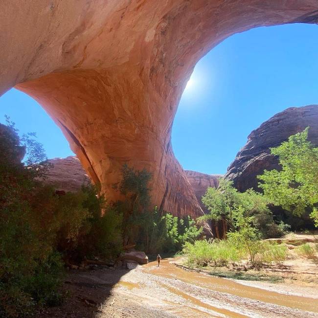 Escalante Nemzeti Park, Utah, USA.