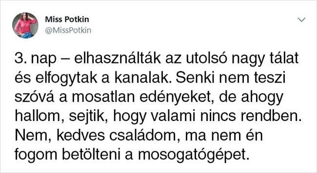 Háromgyerekes édesanya vagyok, és úgy döntöttem, megmutatom a családomnak, hogy mi történik, ha a rendrakó tündér három napra nyaralni megy