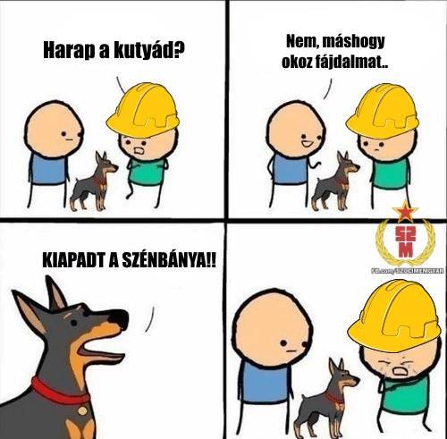 30 szocialista mém, amit csak a történelemben jártas emberek érthetnek igazán