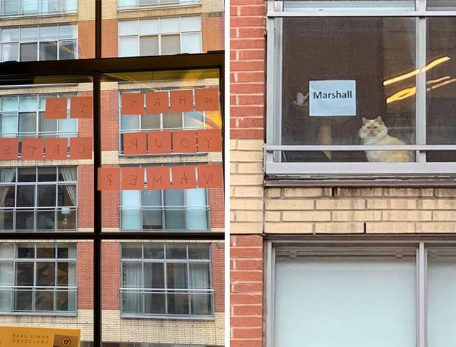 „Minden nap nézünk egy macskát a szemközti ház ablakában. Pár héttel ezelőtt megkérdeztük, hogy mi a macska neve, és legnagyobb örömünkre, ma végre válaszoltak."