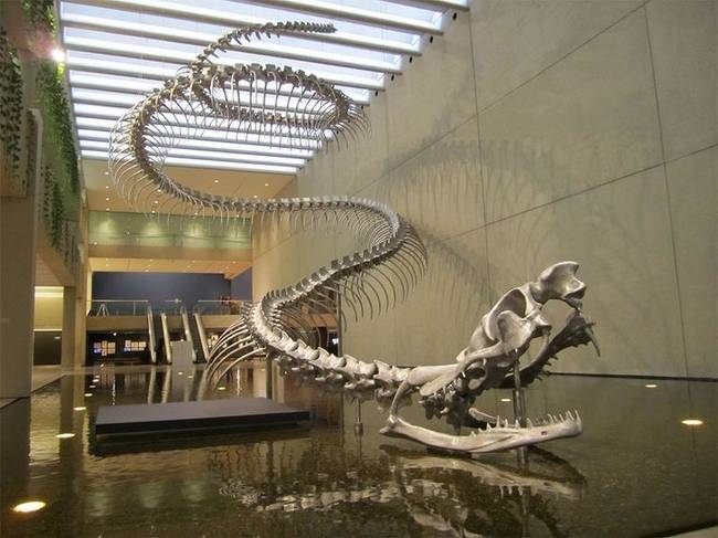 Ekkora volt a valaha élő legnagyobb kígyó, a Titanoboa.