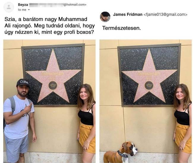 Jöhetnek a Pitbull rajongók!