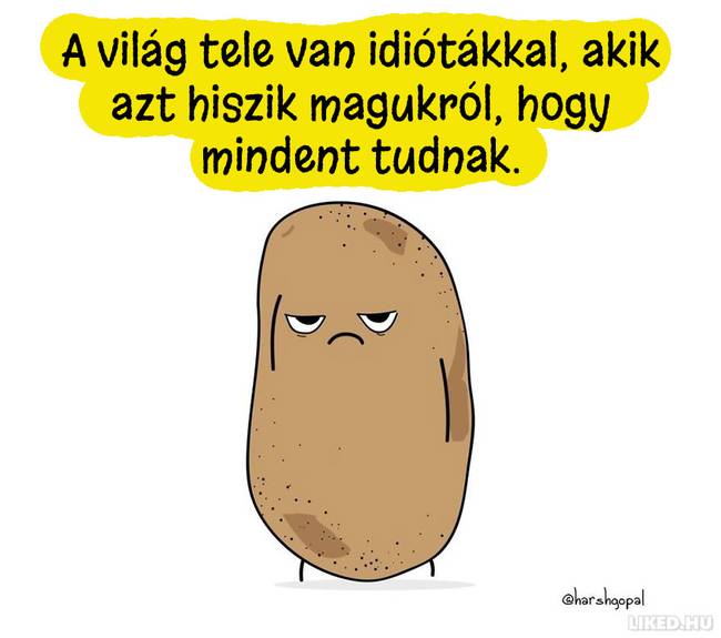 20 újabb bölcs gondolat egy krumplitól, ami Téged is gondolkodóba ejt