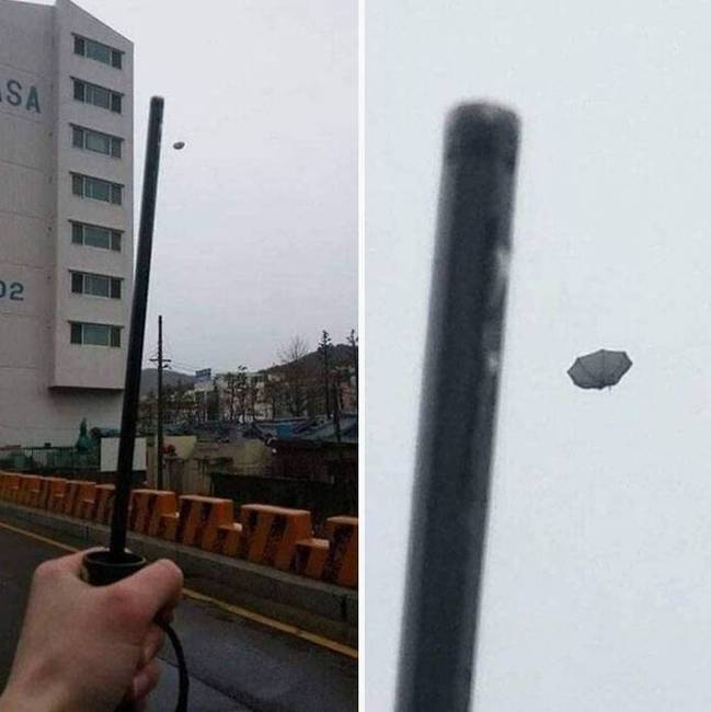 „Azt mondták, hogy ma esni fog, úgyhogy esernyőt vittem...''