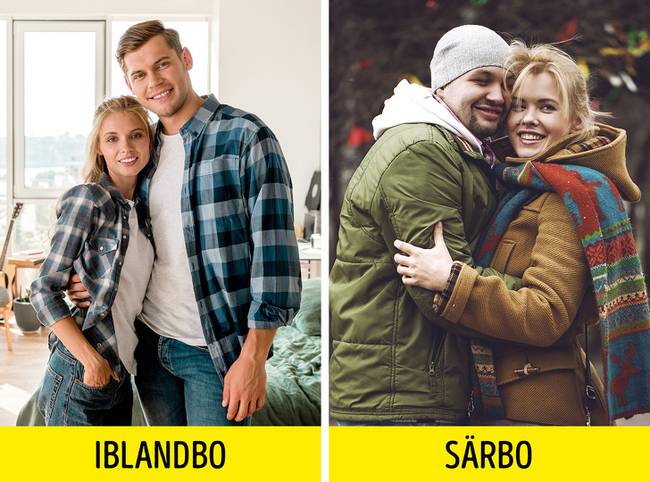 Samboende, särbo, iblandbo.