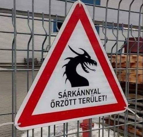 „Nem is tudtam, hogy anyósomat felvették biztonsági őrnek."