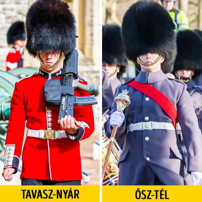 A színválasztás nem véletlen.