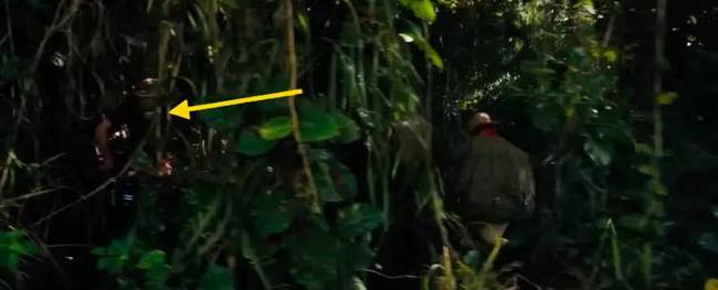A Jumanji – Vár a dzsungel című film motorosok elől menekülő jelenetében látható, ahogy az egyik statiszta fekete pólóban bujkál a bambuszok között, valamilyen felszereléssel a kezében.