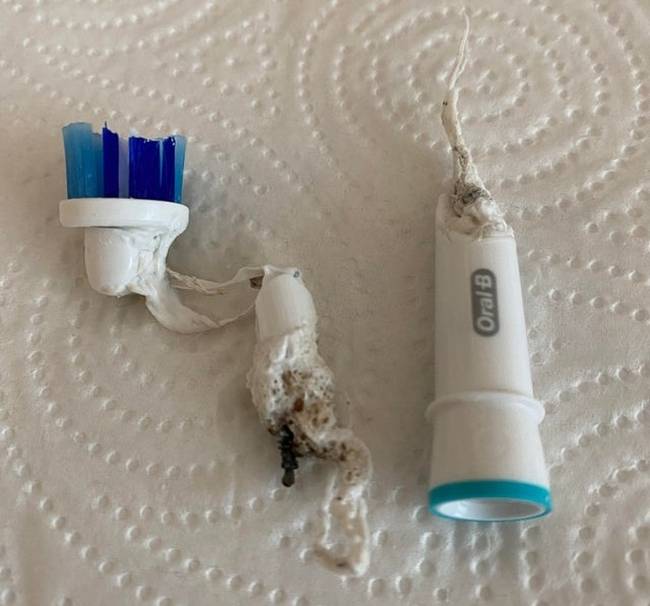 Emlékezz erre a fotóra, amikor valami olyan hülye tanácsot olvasol az interneten, hogy: "tedd a mikrohullámú sütőbe"...🙄