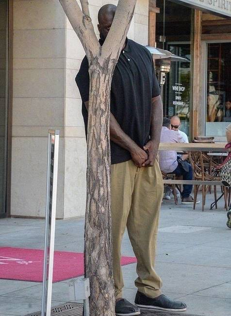 Shaquille O'Neal megpróbált elrejtőzni.