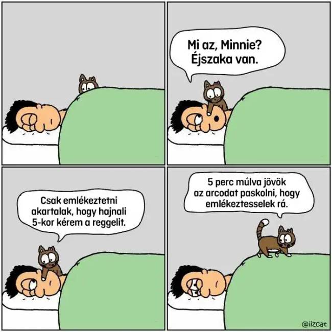 Macskás képregények 013
