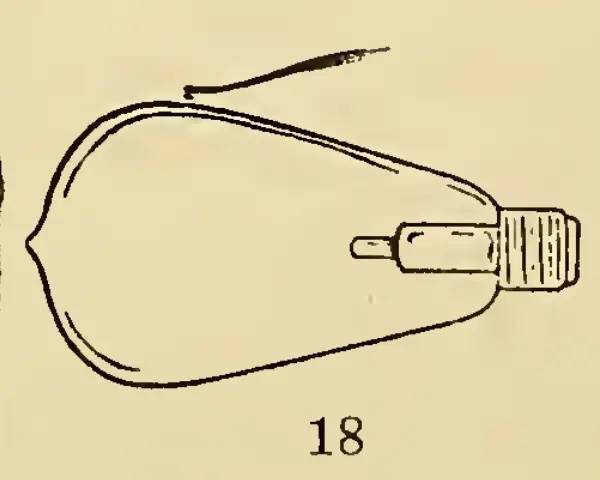 1922-ben ezeknek a képrejtvényeknek a megoldásával bizonyíthattad, hogy intelligens vagy