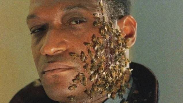 Az eredeti Kampókéz című film forgatásán valódi méheket használtak. A megállapodás értelmében Tony Todd minden egyes méhcsípésért 1000 dollárt kapott. Összesen 23 méh csípte őt meg.