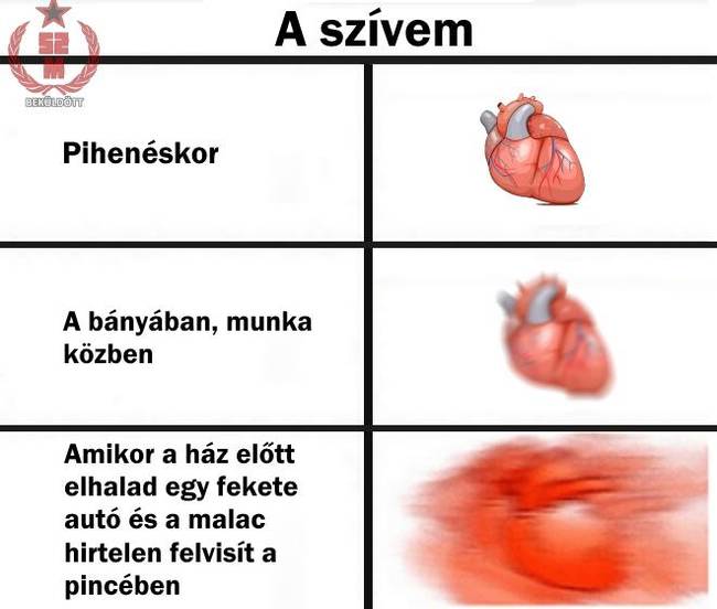 30 szocialista mém, amit csak a történelemben jártas emberek érthetnek igazán