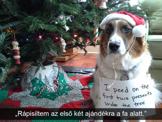 Van, aki még karácsonykor sem ússza meg a büntit.
