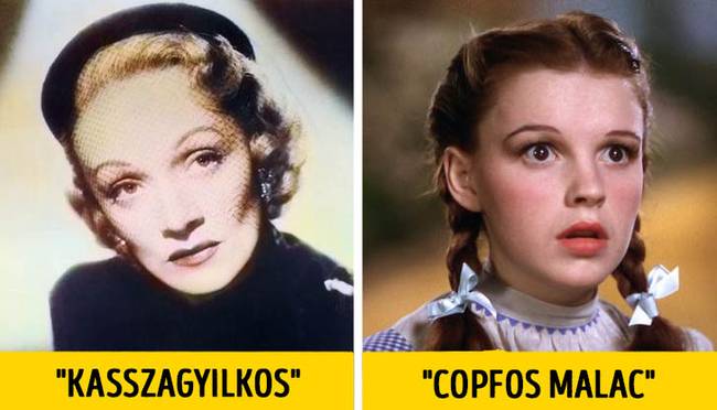 Hollywoodi sértegetések