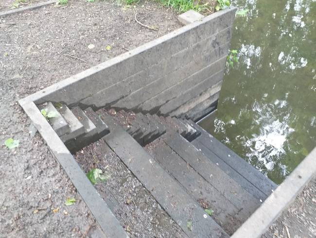 Az embereknek tervezett lépcső mellett egy kisebb is helyett kapott, a kacsáknak.