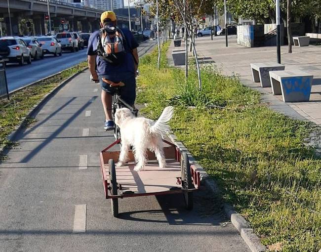 Egy tipikus nap Chilében.
