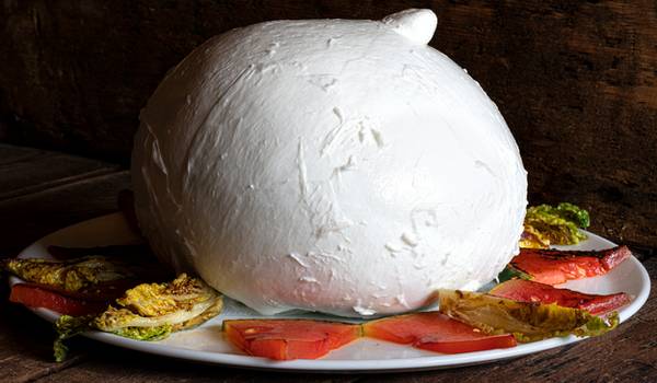 Mozzarella
