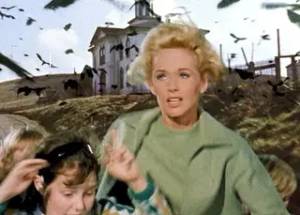 Madarak (1963)