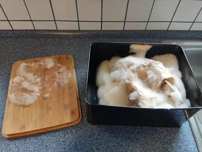 Elfelejtődött dolgok 004