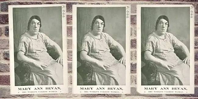 Szépségből szörnyeteg: A „világ legrondább nőjének” története, Mary Ann Webster