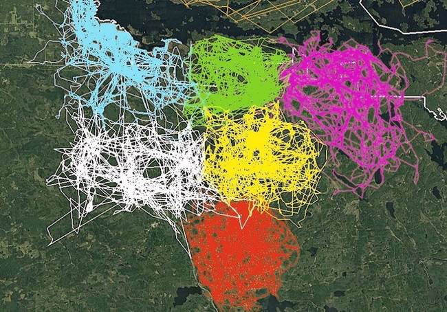 21 tanulságos fotó, aminek az iskolai tankönyvekben is szerepelni kellene