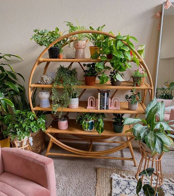 74646a54a5bb5878deed3ade62