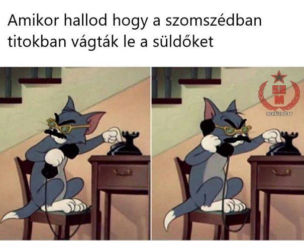 30 szocialista mém, amit csak a történelemben jártas emberek érthetnek igazán