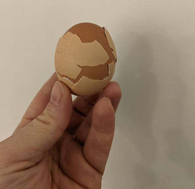 „Ma találtam egy dupla héjú tojást."
