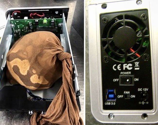 Elektronikai cikkbe rejtett élő piton.