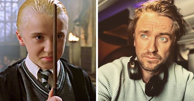 Tom Felton (Draco Malfoy)