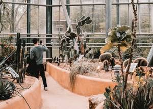 Hortus füvészkert