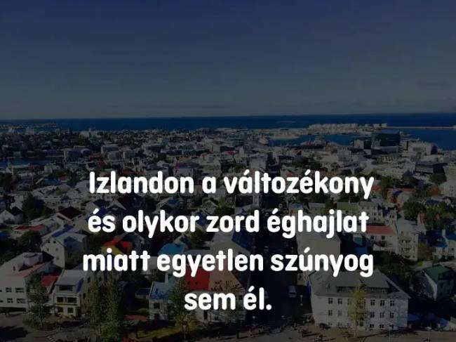 14 iskolai kérdés, ami még a legokosabb embereket is könnyedén összezavarja – de téged többé nem fog
