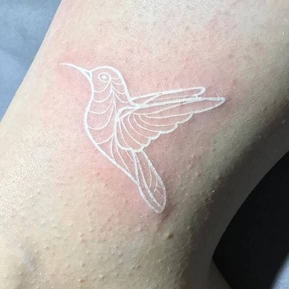 Kolibri