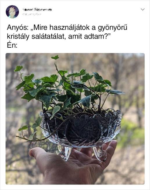 Kristaly salatatal