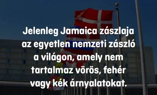 14 iskolai kérdés, ami még a legokosabb embereket is könnyedén összezavarja – de téged többé nem fog