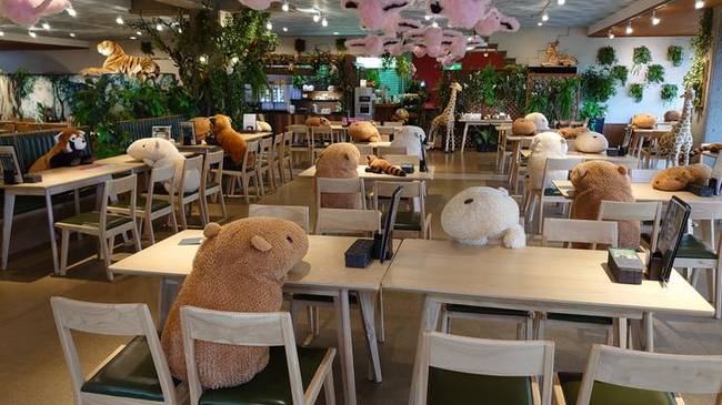 Café Gibbontei az Izu Saboten Állatparkban. Itt biztosan egyik vendég sem lesz egyedül.