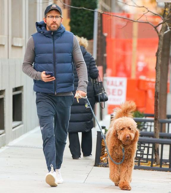 Ryan Reynolds