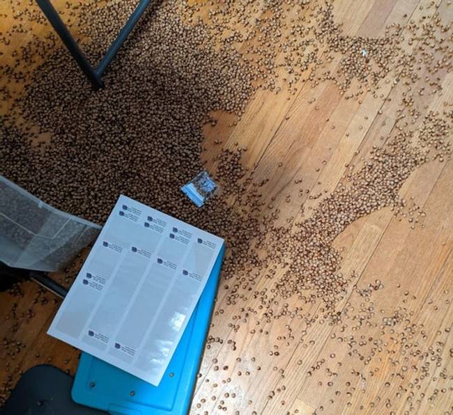 „4 és fél kiló gyöngyöt szórtam a padlóra. A főnök nem volt boldog."