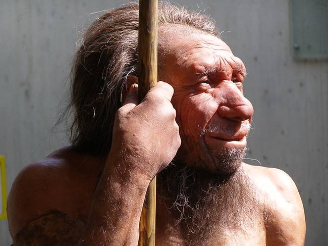 A neandervölgyiek nem a majmokhoz hasonló döntött testtartással éltek.