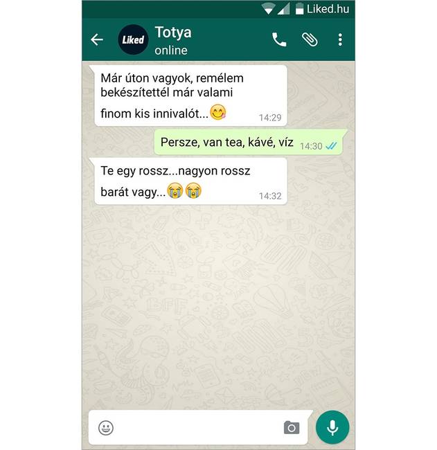 Nincs is férfiasabb, mint egy nagy beszélgetés, teázás közben.