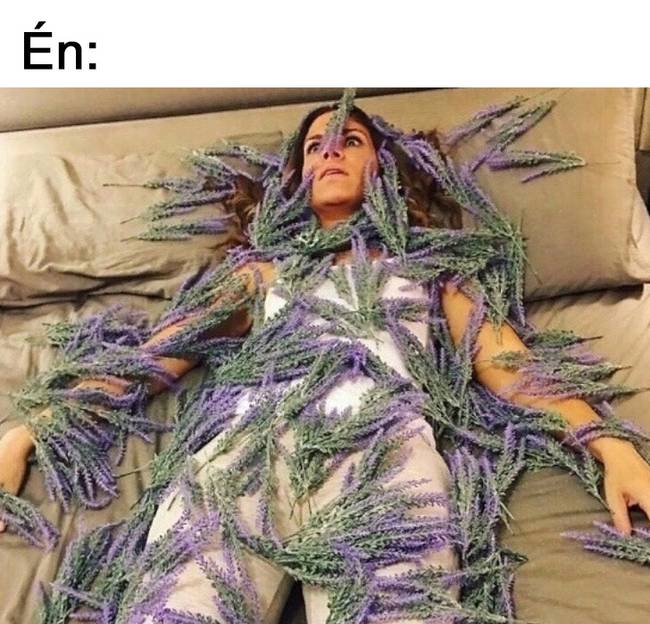 „A levendula-terápia enyhíti a stresszt."