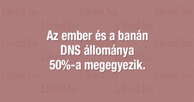 21 furcsa és szokatlan tény a világunkról, amitől garantáltan le fog esni az állad